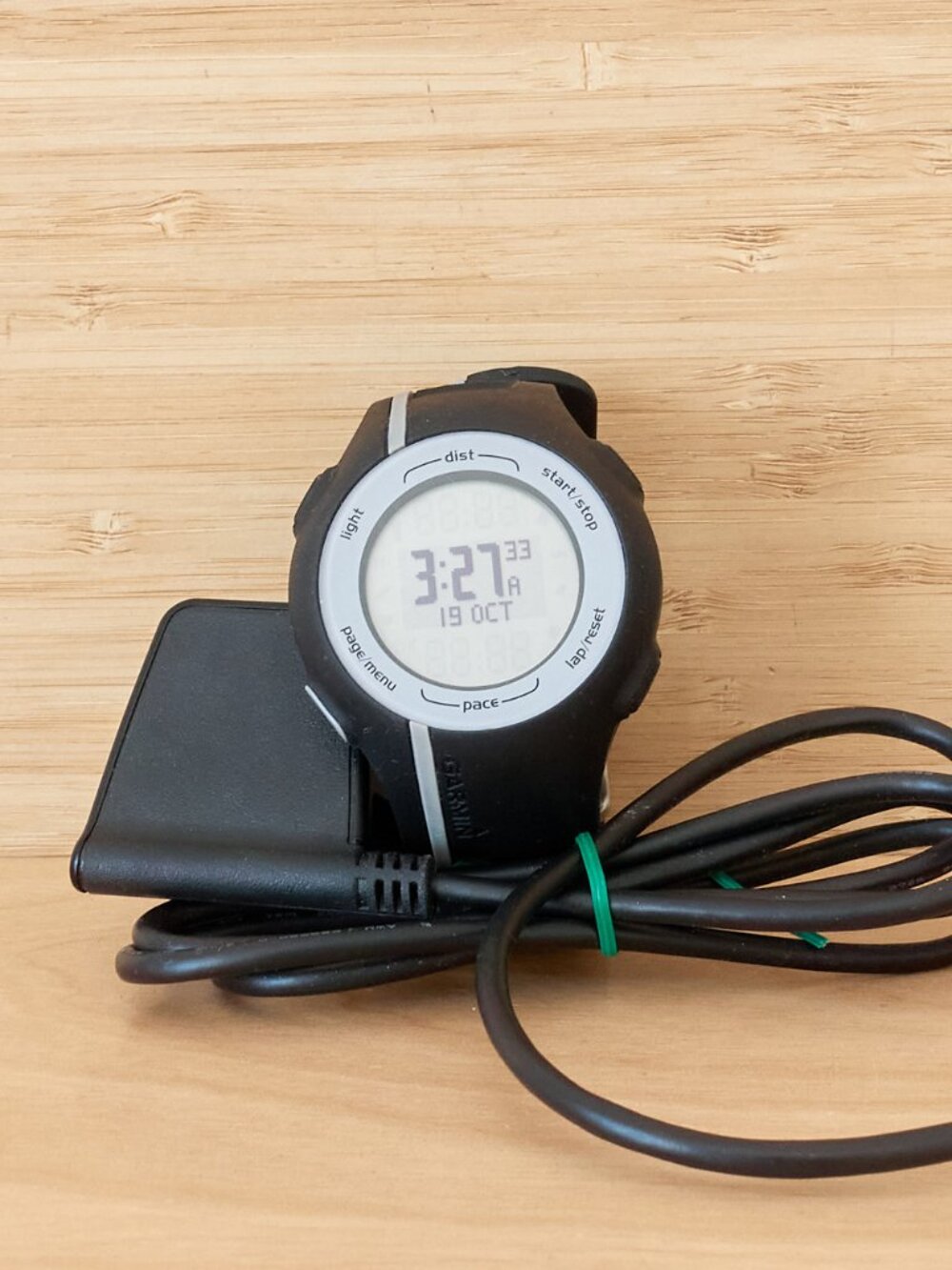 Garmin Forerunner 110 GPS Running Watch